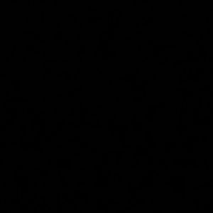 Meet your Posher, Eva